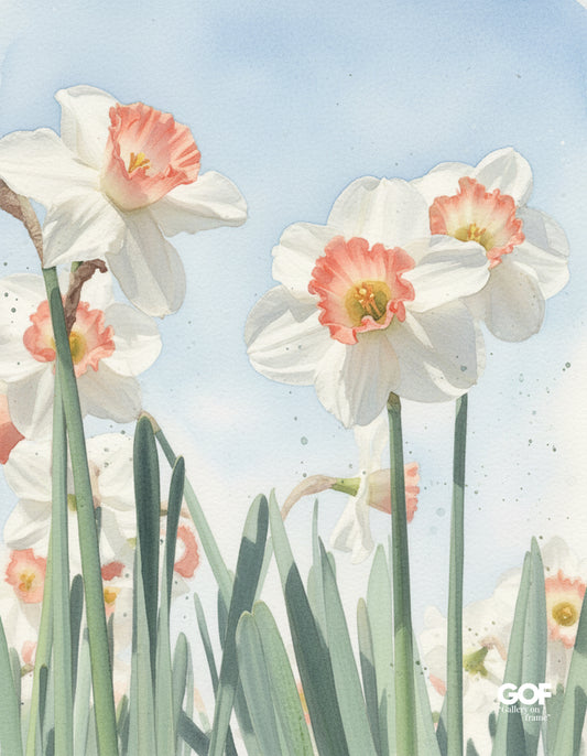 Spring Light